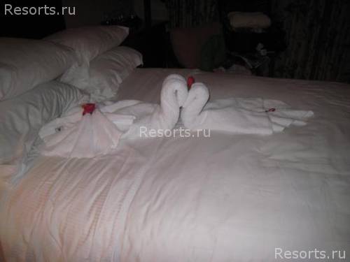 Ritz-Carlton Golf & Spa Resort 48